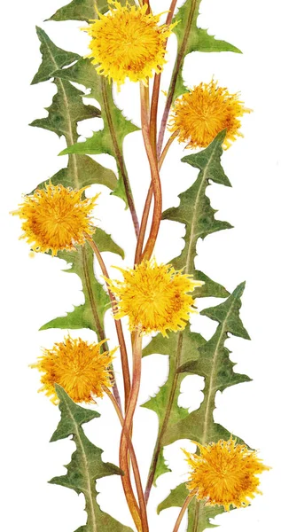 Seamless pattern with dandelions. Fancy print with flowers.