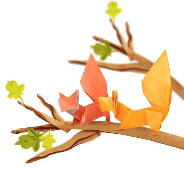 Curious couple origami cartoon squirrels on a branch on a white — ストック写真