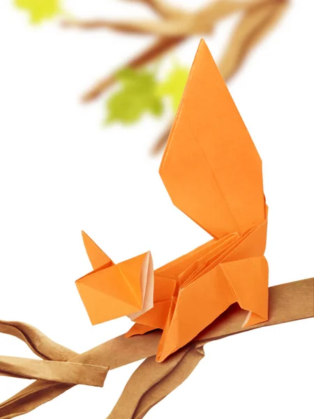 Curious origami cartoon squirrel on a branch on a white — Stok fotoğraf