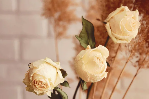 米黄色的干玫瑰和奶油背景的芦苇花束 — 图库照片