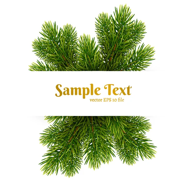 Card with christmas fir tree — Stock Vector