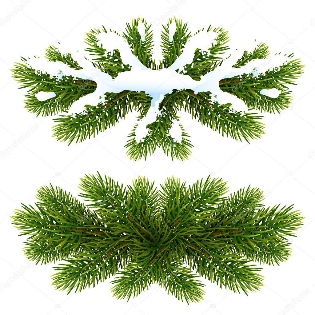 card with christmas fir tree