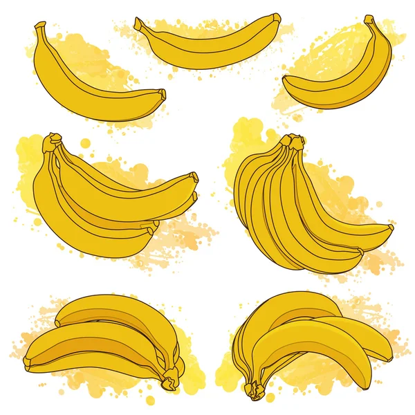 Kleurrijke textuur van de banaan — Stockvector