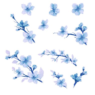 Güzel sakura çiçeği seti