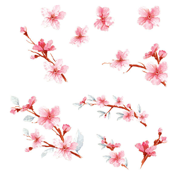 Pretty sakura blossom set