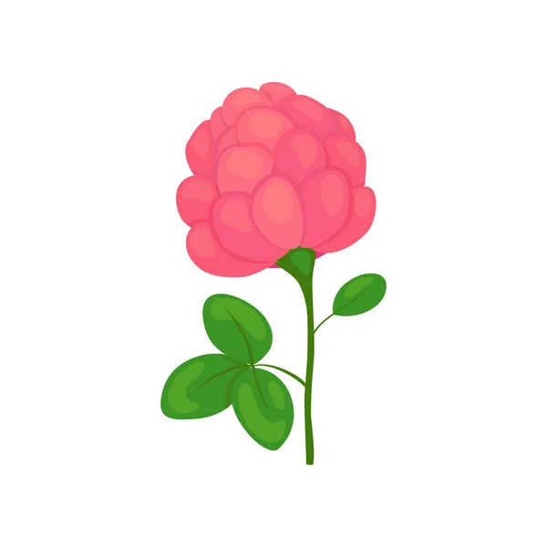 Icono de flor de trébol — Vector de stock