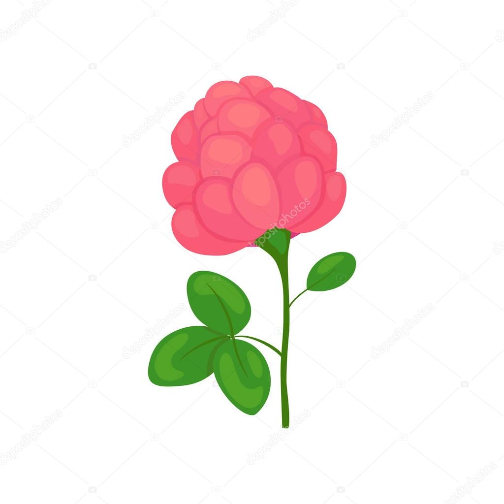 clover flower icon