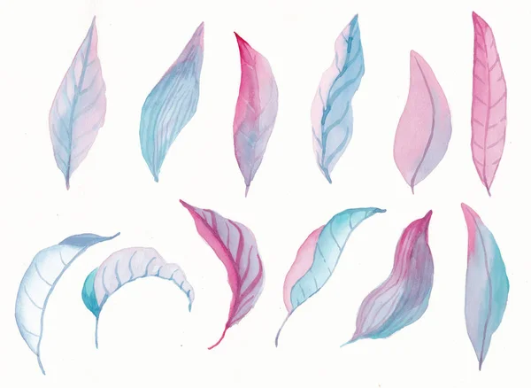 Watercolor leaves  set — Stock Photo, Image