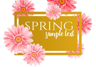 Pembe gerbera çiçekleri.