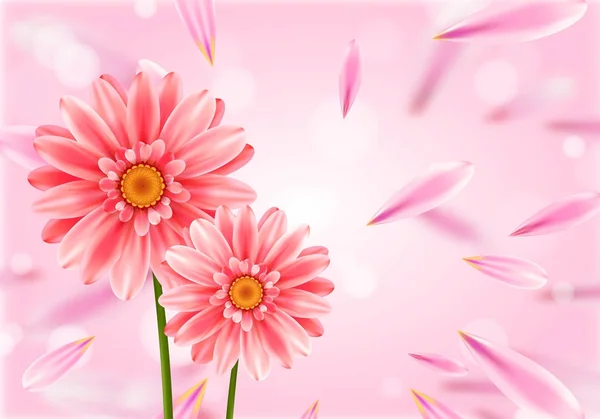 Na světle růžovém pozadí květiny Gerbera. — Stockový vektor