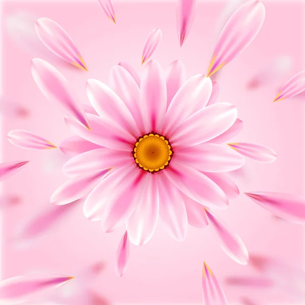 Flor Gerbera sobre fondo rosa. — Vector de stock