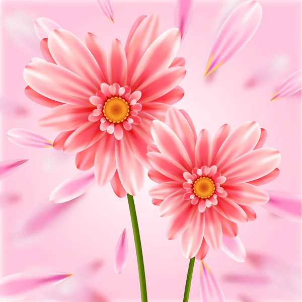 Gerbera fleurs carte coeur . — Image vectorielle