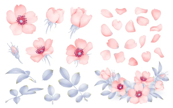 Perro rosa florece ilustración — Archivo Imágenes Vectoriales