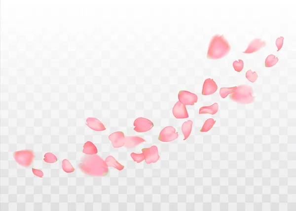 Pembe sakura veya gül düşen yaprakları