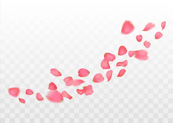 Рожевий сакура або пелюстки, що падають троянди — стоковий вектор