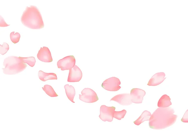 Sakura or rose falling petals — Stock Vector