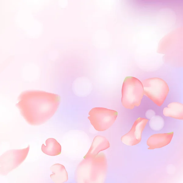 粉红色的樱花或玫瑰飘落的花瓣 — 图库矢量图片