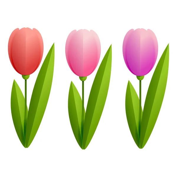 Różowe Tulipany Wektor Ilustracja Papier Kwiatów Ciętych — Wektor stockowy
