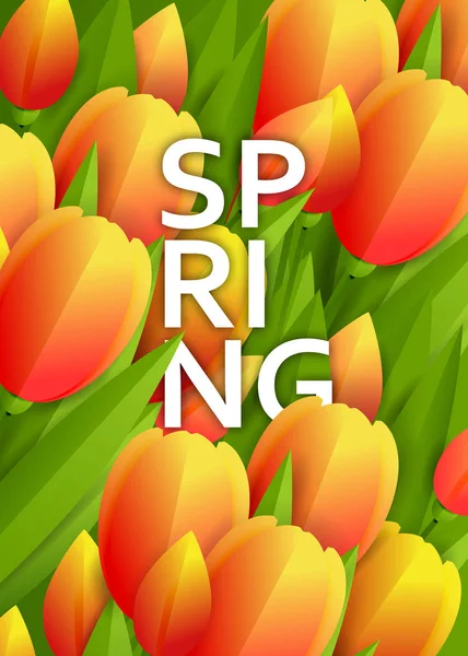 Fond Floral Avec Illustration Vectorielle Tulipes Roses — Image vectorielle