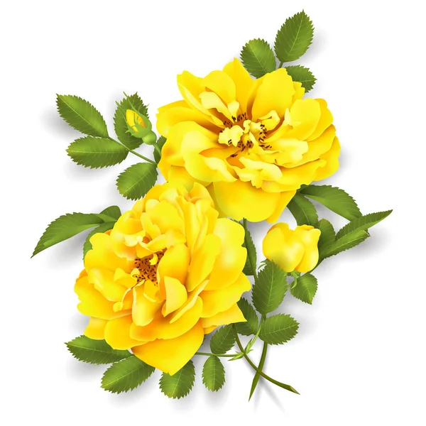 Ρεαλιστική Διάνυσμα Κίτρινο Τριαντάφυλλο Τριαντάφυλλα Στο Παρασκήνιο — Διανυσματικό Αρχείο