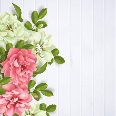 Gerçekçi vektör pembe gül. arka plan üzerinde 3D gül