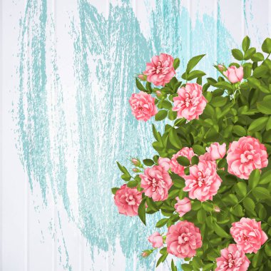 Gerçekçi vektör pembe gül. arka plan üzerinde 3D gül