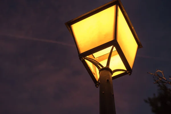 Standart lamba geceleri — Stok fotoğraf