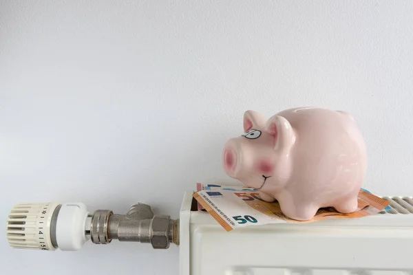 Sparkonzept. Sparschwein und Geld für Heizkörper mit Temperaturregler — Stockfoto