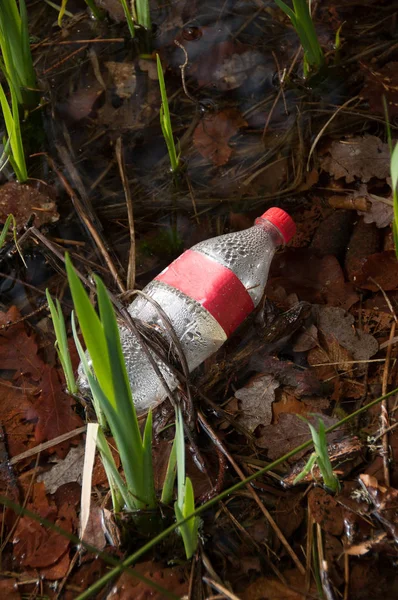 Plastikowe butelki w przyrodzie — Zdjęcie stockowe