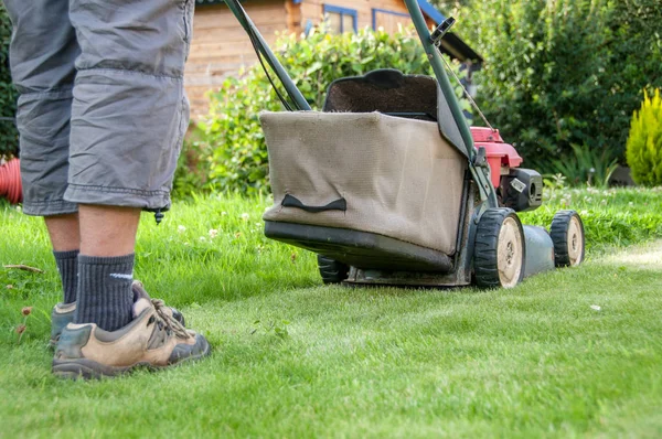Mowing the lawn in my garden — Stock Photo, Image