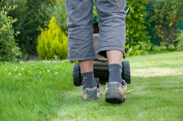 Lawn mowing — Stock Photo, Image