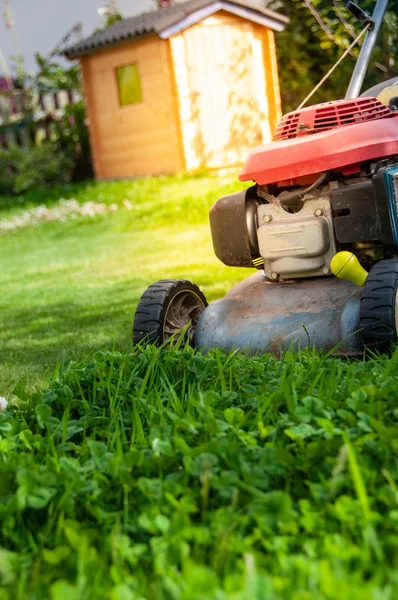 Lawn mowing — Stock Photo, Image