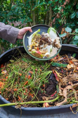 Mutfak atıklarıyla gübre atan kadın