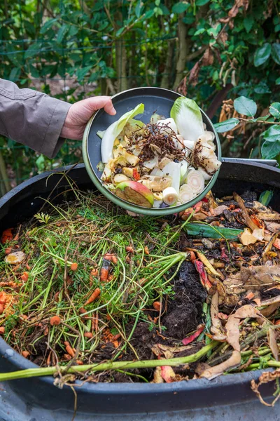 Mutfak atıklarıyla gübre atan kadın