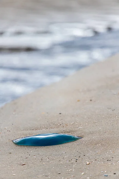 Maneter Strandsatta Strand Norra Frankrike — Stockfoto