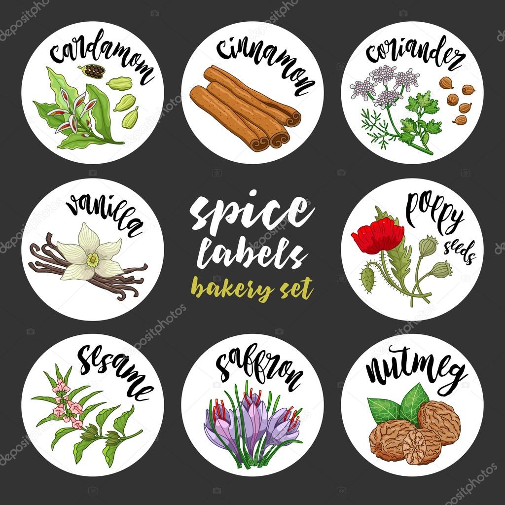 Spices and herbs labels. Colored vector bakery set