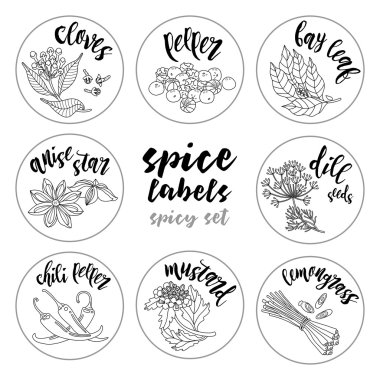 Baharatlar ve otlar etiketleri. Kontur vektör baharatlı set