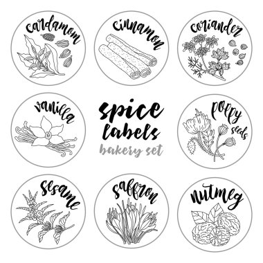 Baharatlar ve otlar etiketleri. Kontur vektör ekmek set