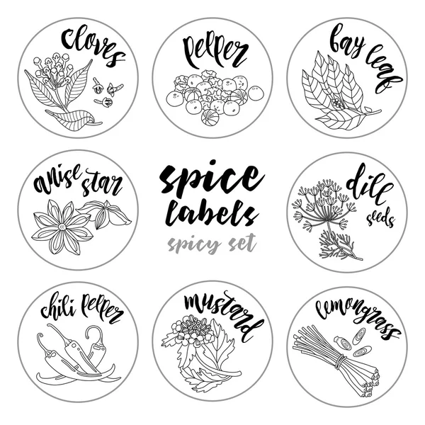 Baharatlar ve otlar etiketleri. Kontur vektör baharatlı set