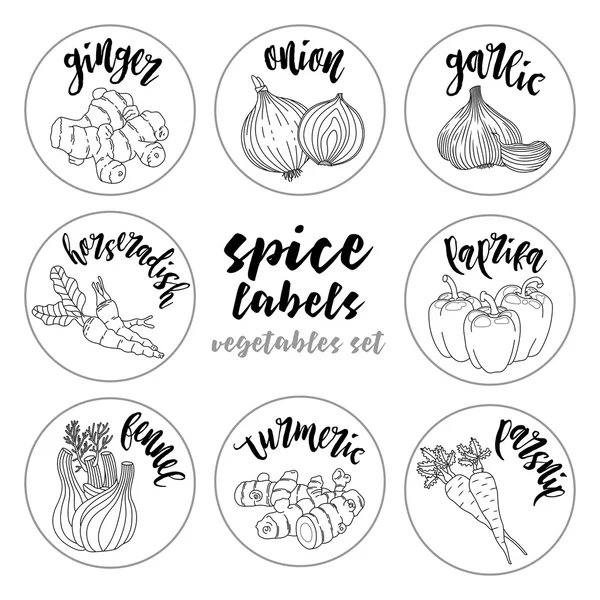 Baharat otlar etiketleri. Kontur vektör sebze set