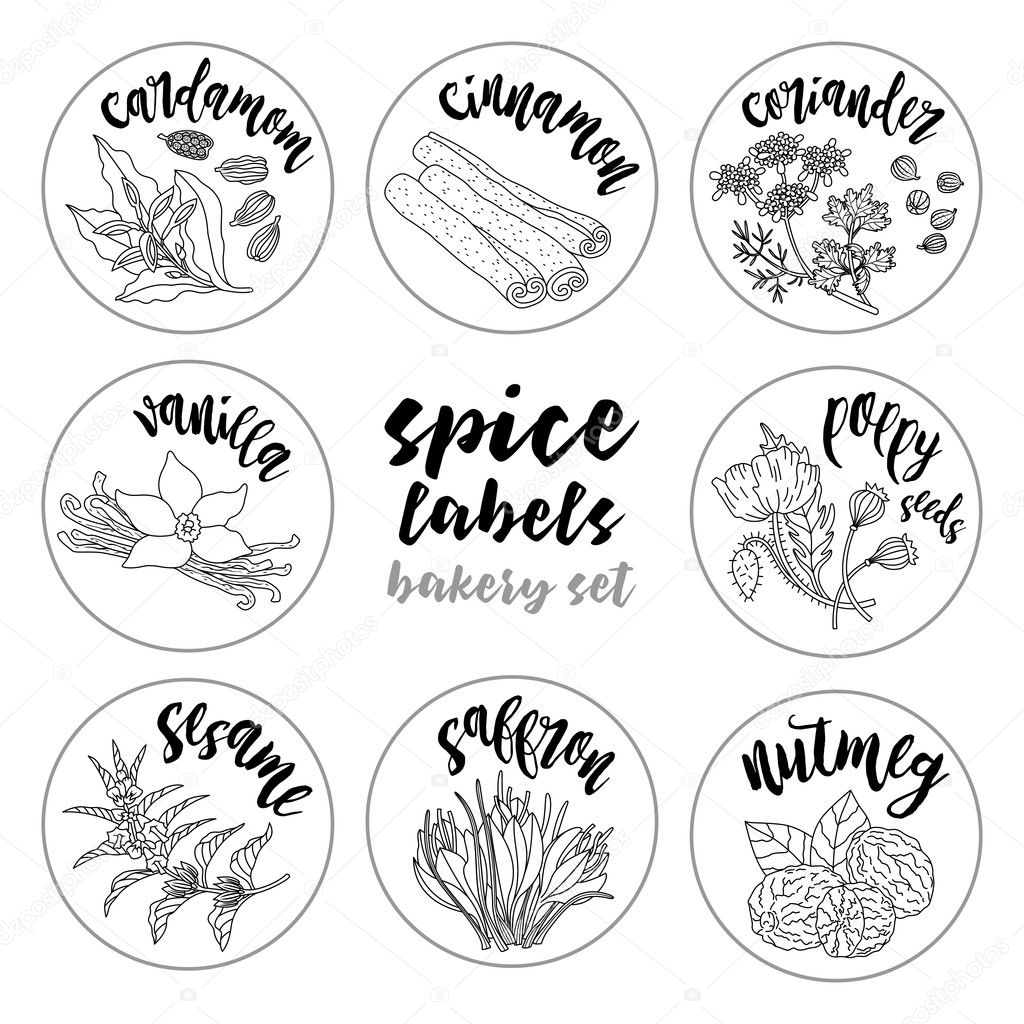 Spices and herbs labels. Contour vector bakery set