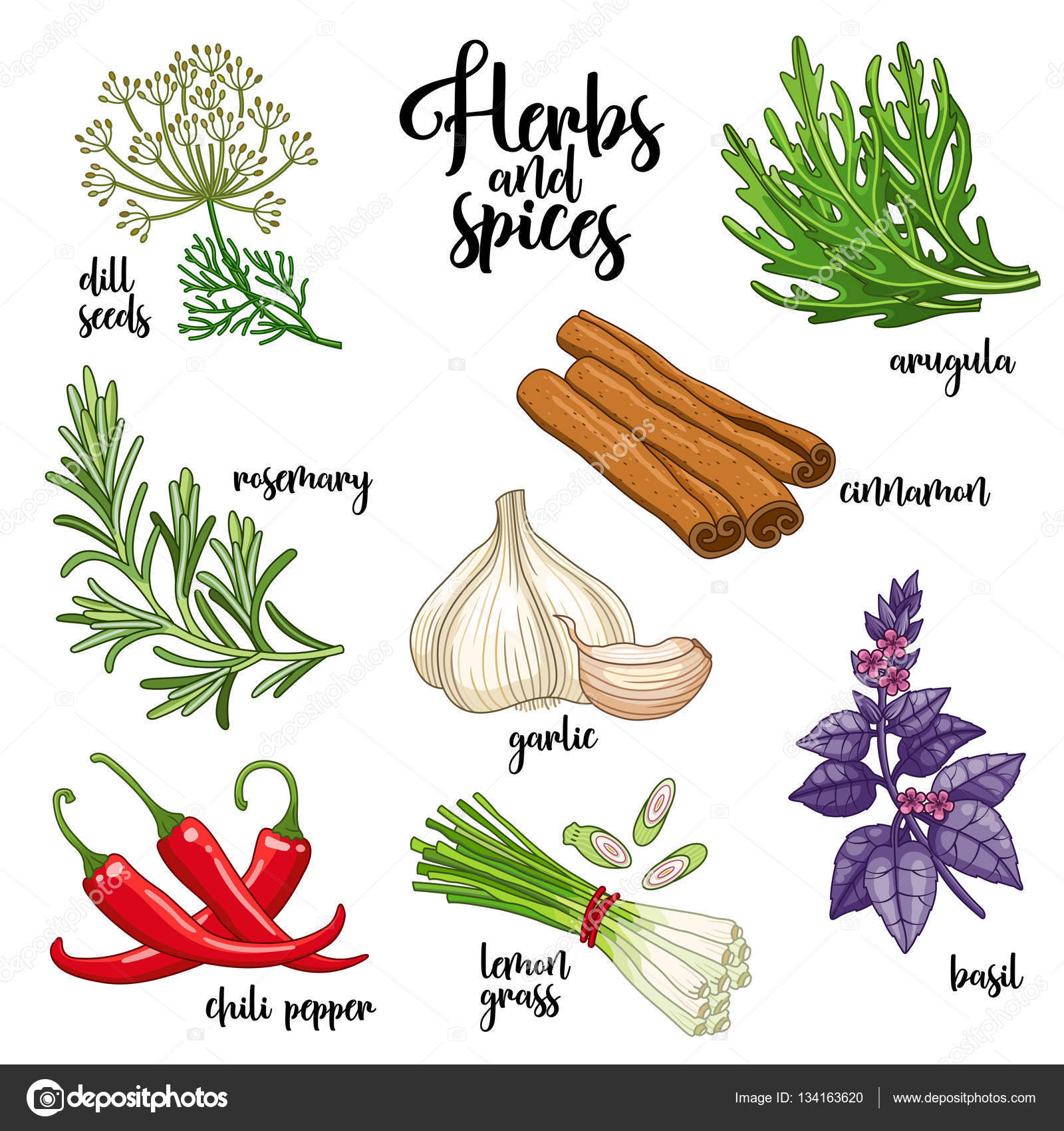 https://st3.depositphotos.com/3206641/13416/v/1600/depositphotos_134163620-stock-illustration-spices-and-herbs-vector-set.jpg