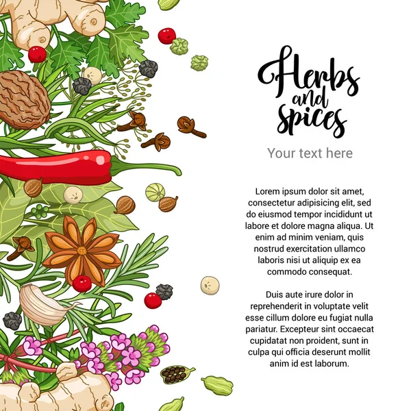 Diseño de tarjeta picante vectorial con especias y hierbas — Vector de stock