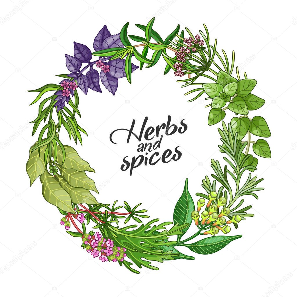 Vector circle template with type, spices and herbs