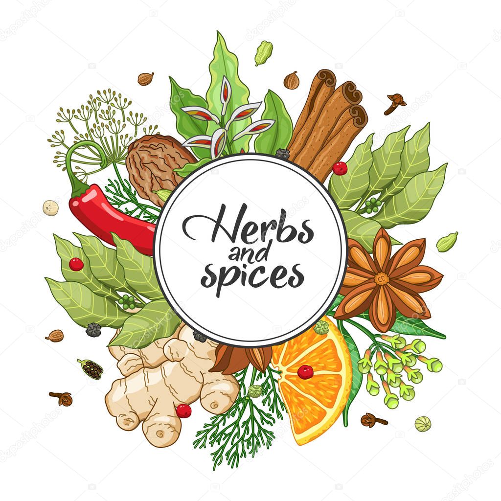 Vector winter round design with spices and herbs