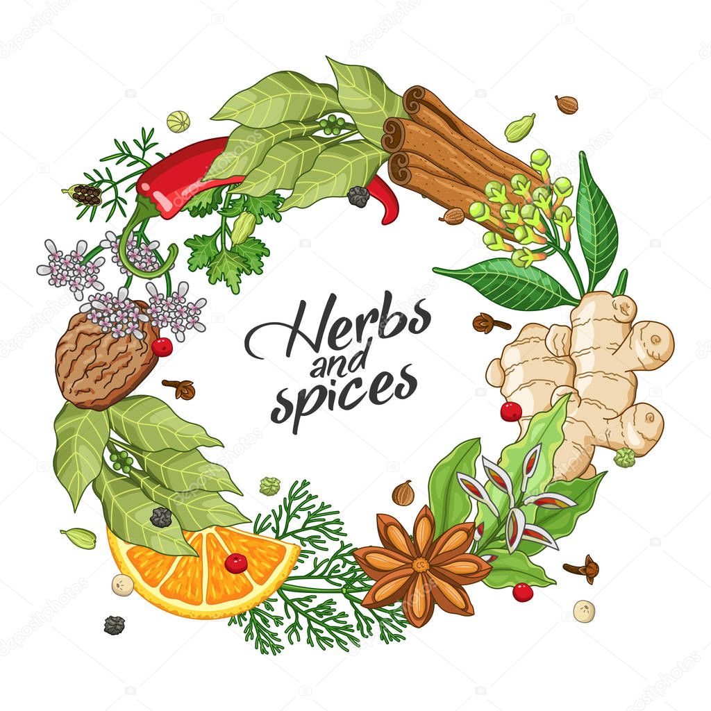 Vector winter circle template with spices, herbs