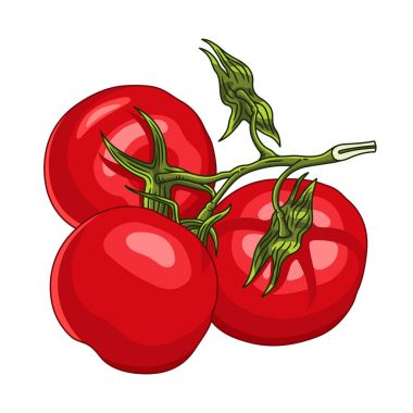 Şube ile üç olgun domates