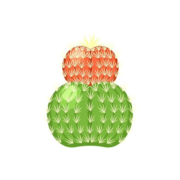 Illustration vectorielle de cactus coloré et de plantes succulentes — Image vectorielle