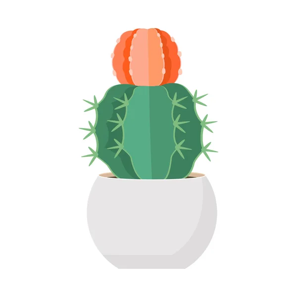 Cactus et succulent en pot illustration vectorielle de dessin animé coloré domestique — Image vectorielle