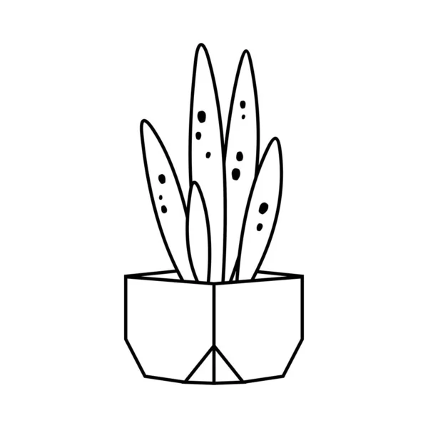 Illustration vectorielle de style ligne succulente et cactus — Image vectorielle